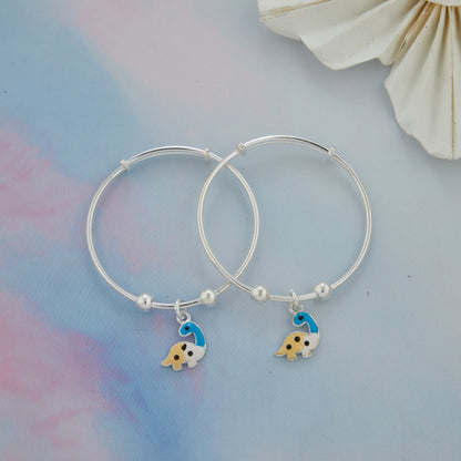 Dragon Dinosaurs Silver Baby Kadli